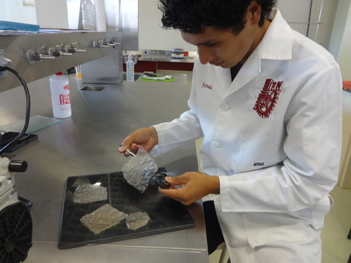 544cb056645091150baa7ac73191b017