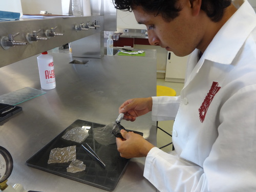 f95bf49a66f4b10609a674e8c8bcc55c