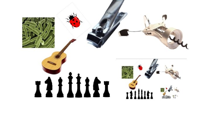 Conjunto_singular_solo_es_ciencia