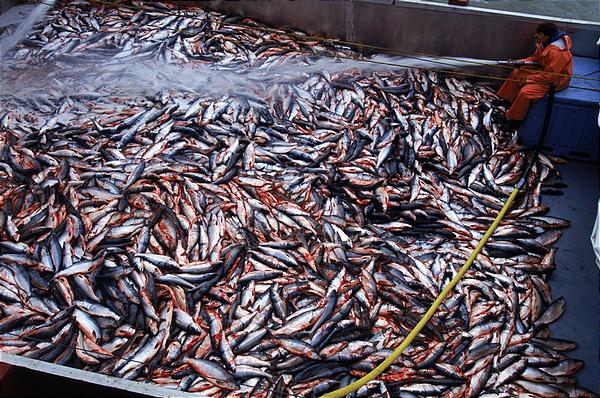 Día-de-sobrecapacidad-de-la-Tierra