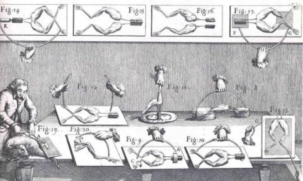 Los-experimentos-electricos-de-Luigi-Galvani-600x359