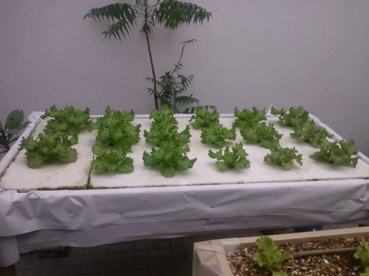 08b4698f-3347-4bec-a533-4c0e41681b1e