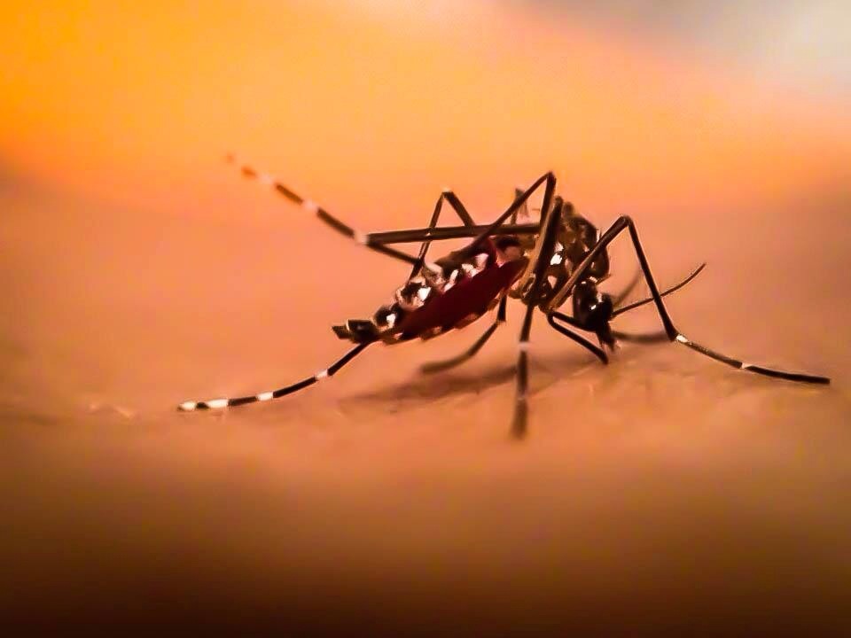 8558002667_45b59f4389_o