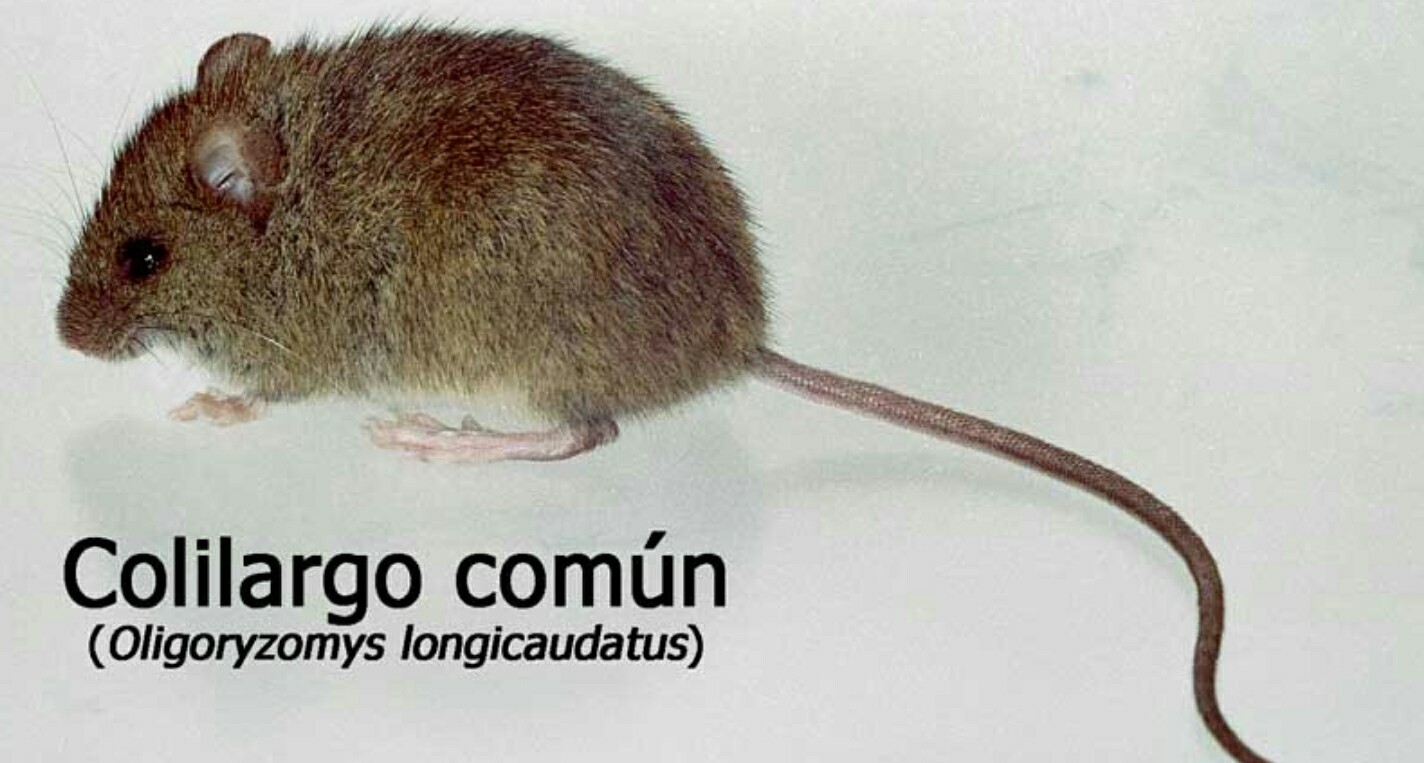 18216705_1771091983201999_8685097190491425366_o