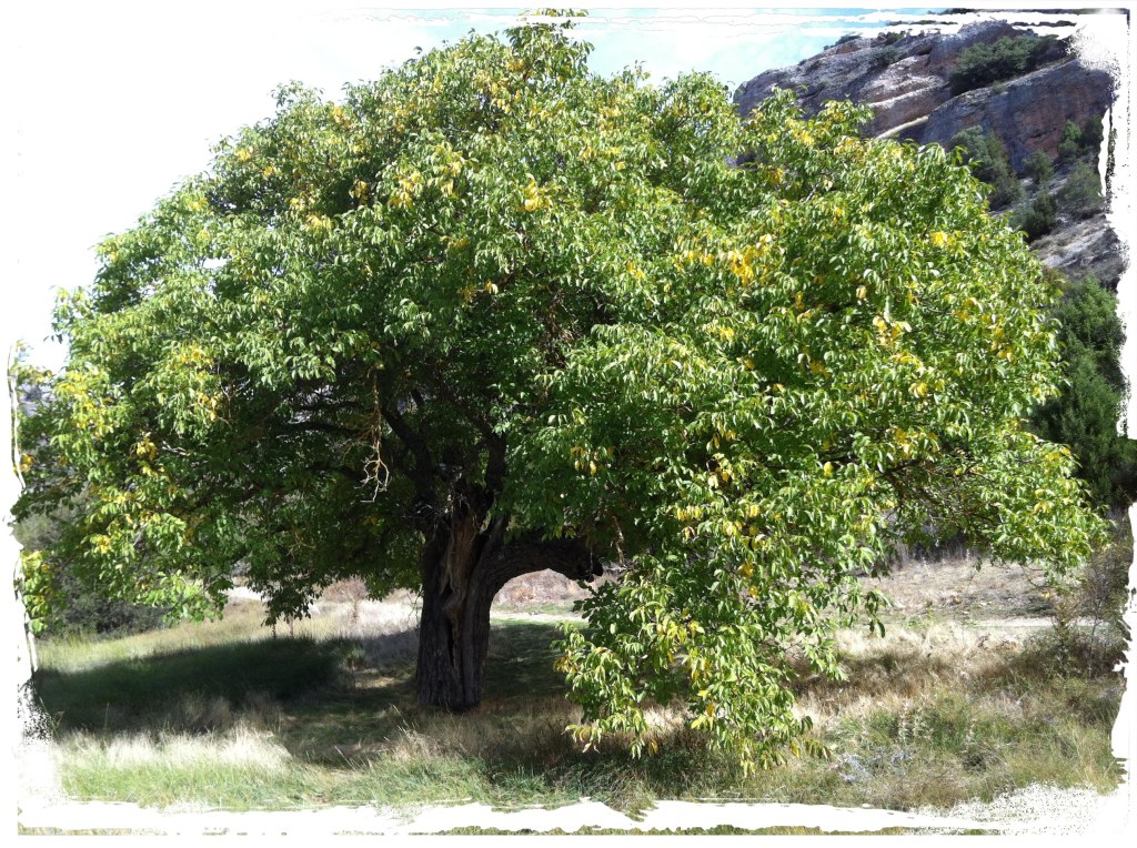 La imagen tiene un atributo ALT vacío; su nombre de archivo es descargar-1.jpg